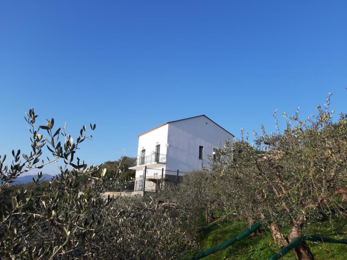 Sarina House Ocean View Lavagna Exterior foto