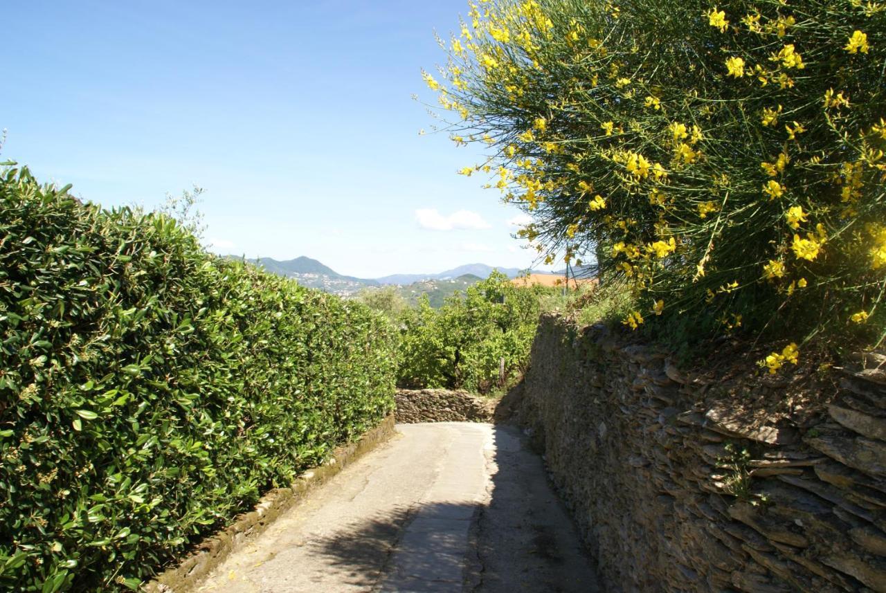 Sarina House Ocean View Lavagna Exterior foto